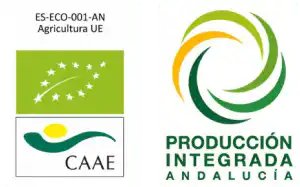 certificados
