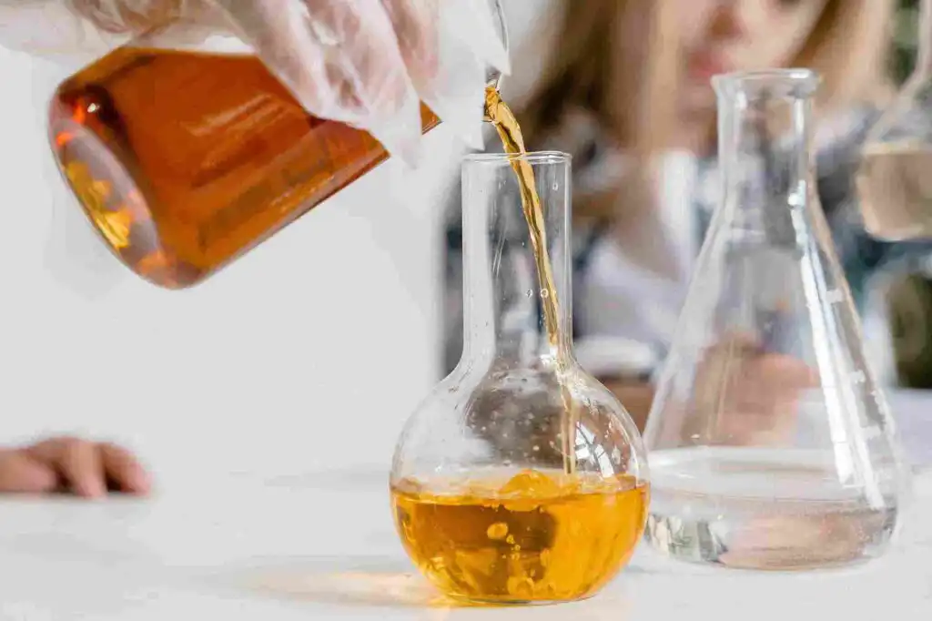 aceite de oliva coto bajo
