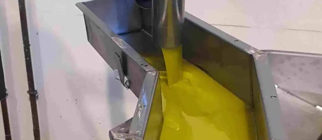 Extracción aceite de oliva virgen extra coto bajo