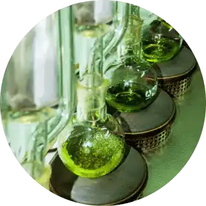 envasado aceite de oliva virgen extra cotobajo