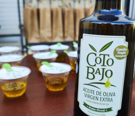 oleoturismo-cotobajo-cata-aceites-de-oliva