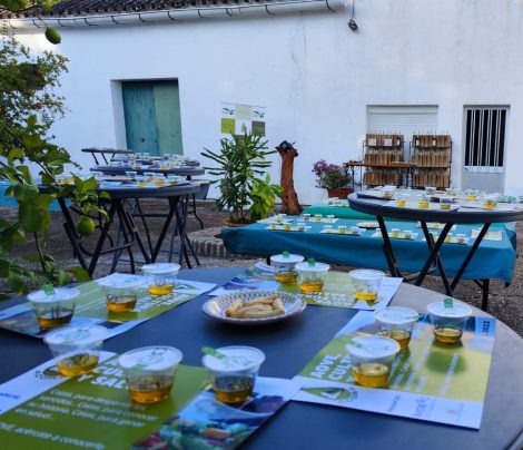 oleoturismo-cotobajo-visita-personalizada